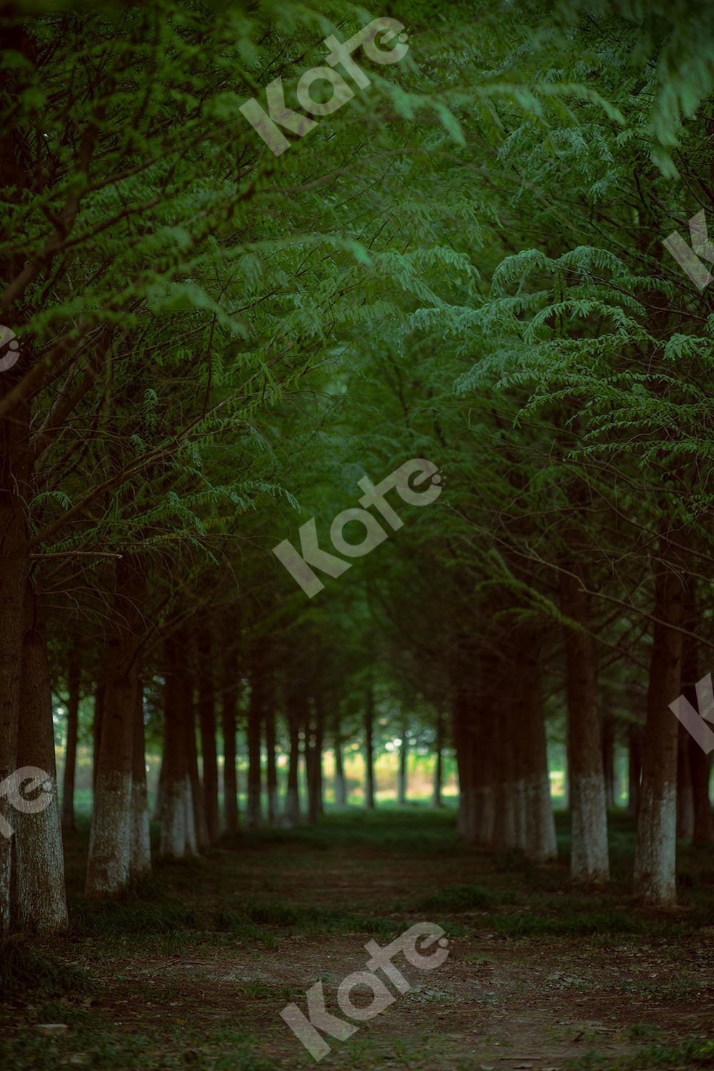 Kate Sommer Hintergrund Wald Straße Entworfen von Emetselch - Kate Backdrop.de