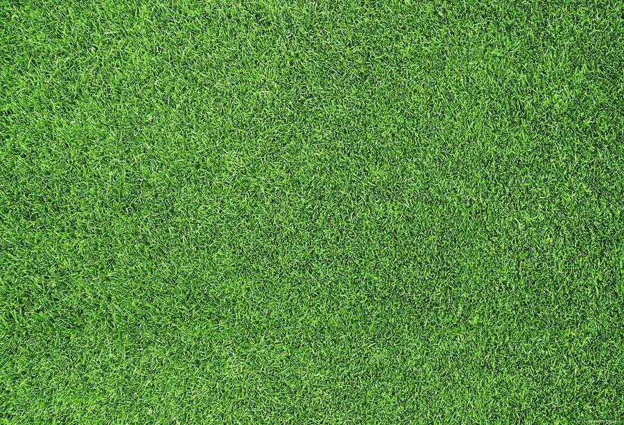 Katebackdrop：Kate Green Grassland Spring/Easter Rubber Mat Floor Drop