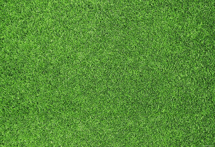 Katebackdrop：Kate Green Grassland Spring/Easter Rubber Mat Floor Drop