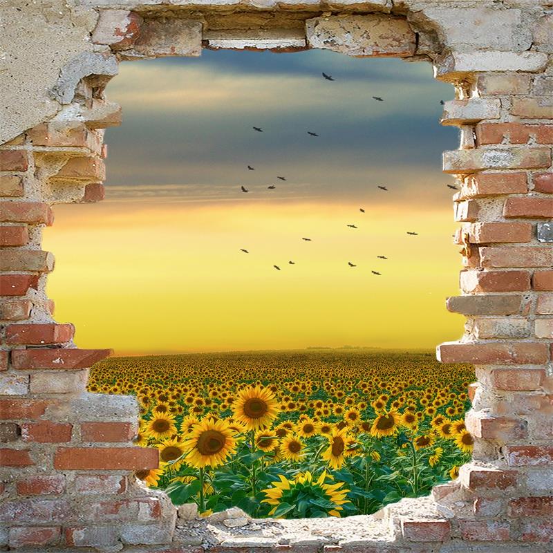 Kate schäbige Mauer Sonnenblumen Hintergrund