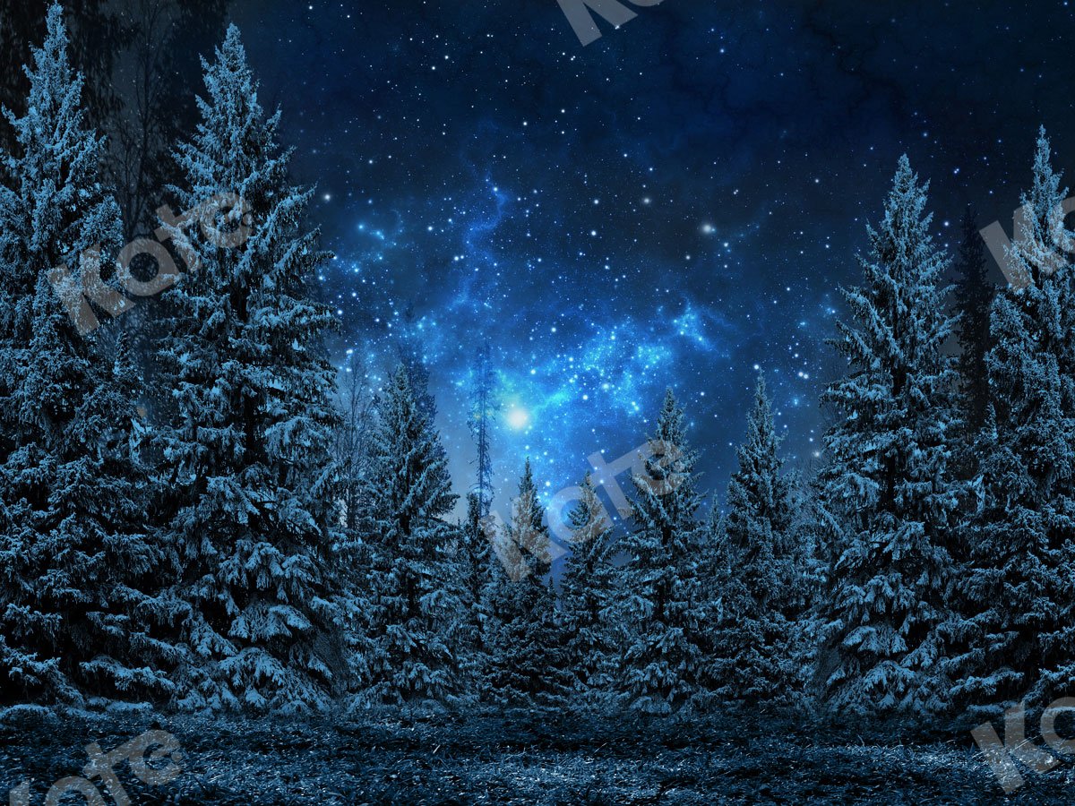 Kate Weihnachten Hintergrund Sterne Nacht Schneewald Winter Entworfen von JS Fotografie - Kate Backdrop.de