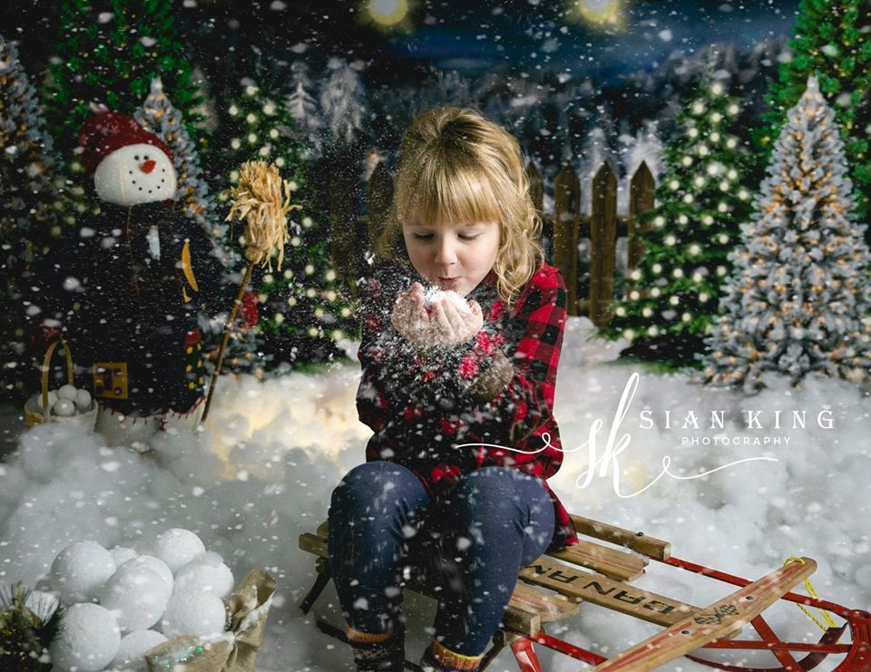 Kate Weihnachten Nacht Baum Bauernhof Hintergrund von Jerry_Sina - Kate Backdrop.de