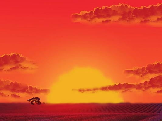 Katebackdrop£ºKate Sunset Glow Field African Backdrop Designed By Jerry_Sina