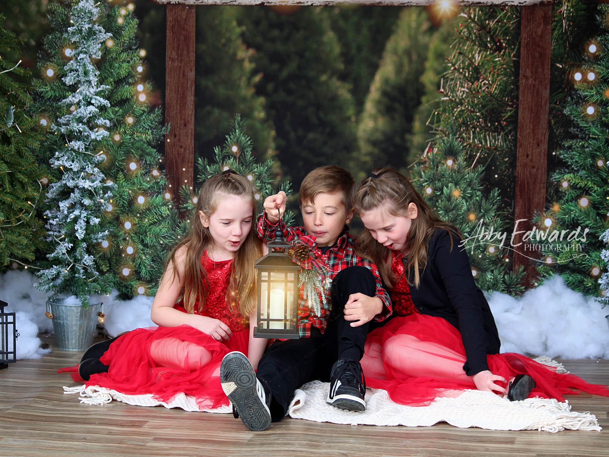 Kate Weihnachtsbaum  Weihnachten Hintergrund für Fotografie - Kate Backdrop.de
