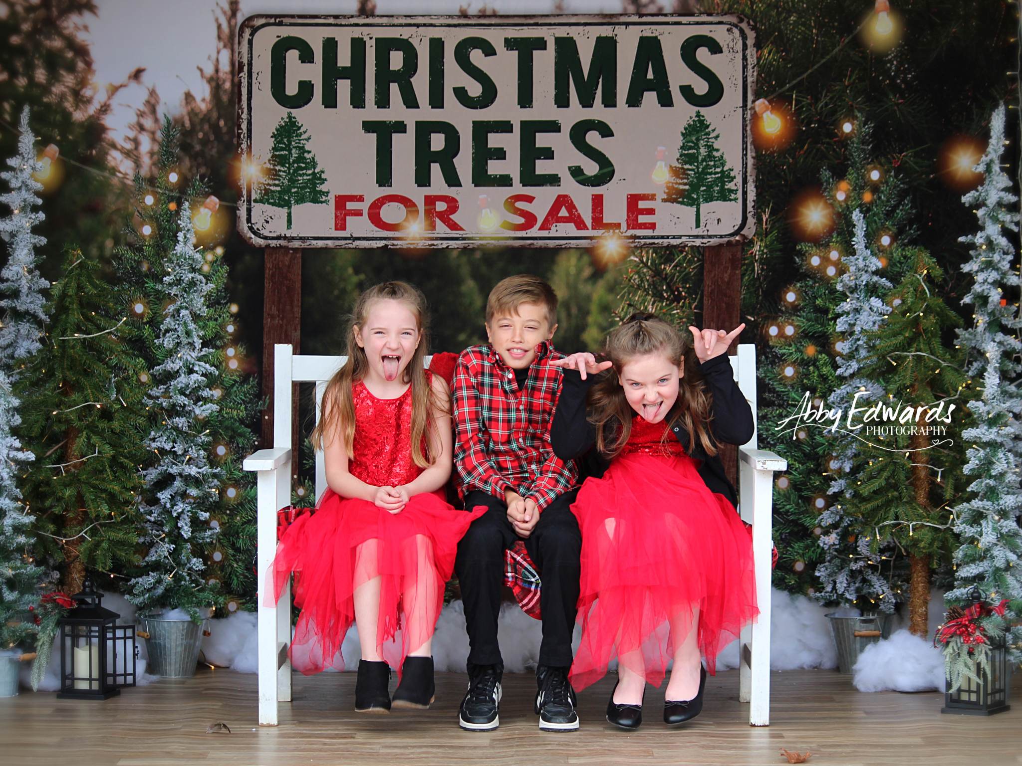 Kate Weihnachtsbaum  Weihnachten Hintergrund für Fotografie - Kate Backdrop.de
