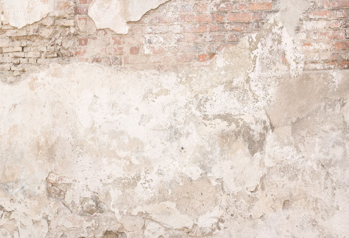 Kate Boho Sommer Wand  Hintergrund schäbig Wand - Kate Backdrop.de