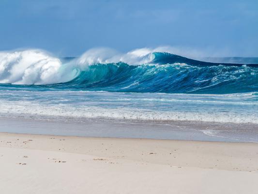 Katebackdrop£ºKate Sea Summer Beach Backdrop Surf for Photos Studio