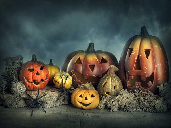 Katebackdrop：Kate Halloween Pumpkins Spider Photography Props