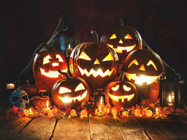 Katebackdrop：Kate Halloween Backdrop with pumpkin lantern