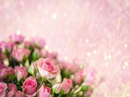 Katebackdrop£ºKate Pink Flowers Backdrop for Mother's Day Photography