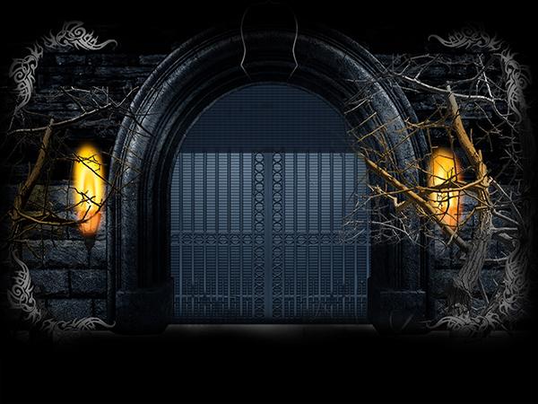 Katebackdrop：Kate Black Photography Backdrop Gate Photo Background