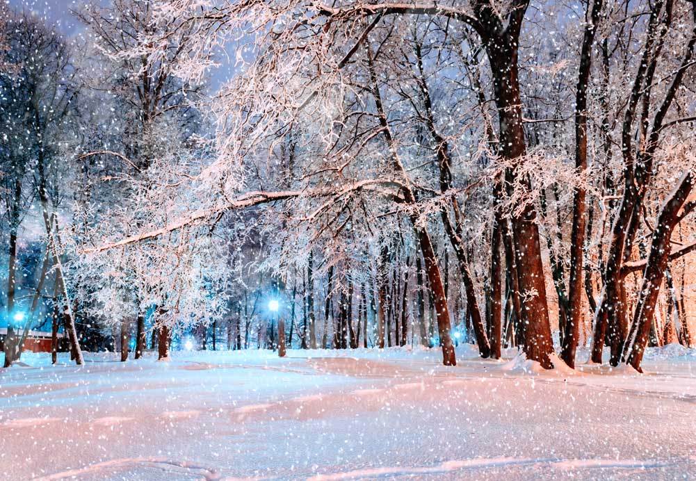 Katebackdrop：Kate Winter snow tree lights backdrop for Christmas