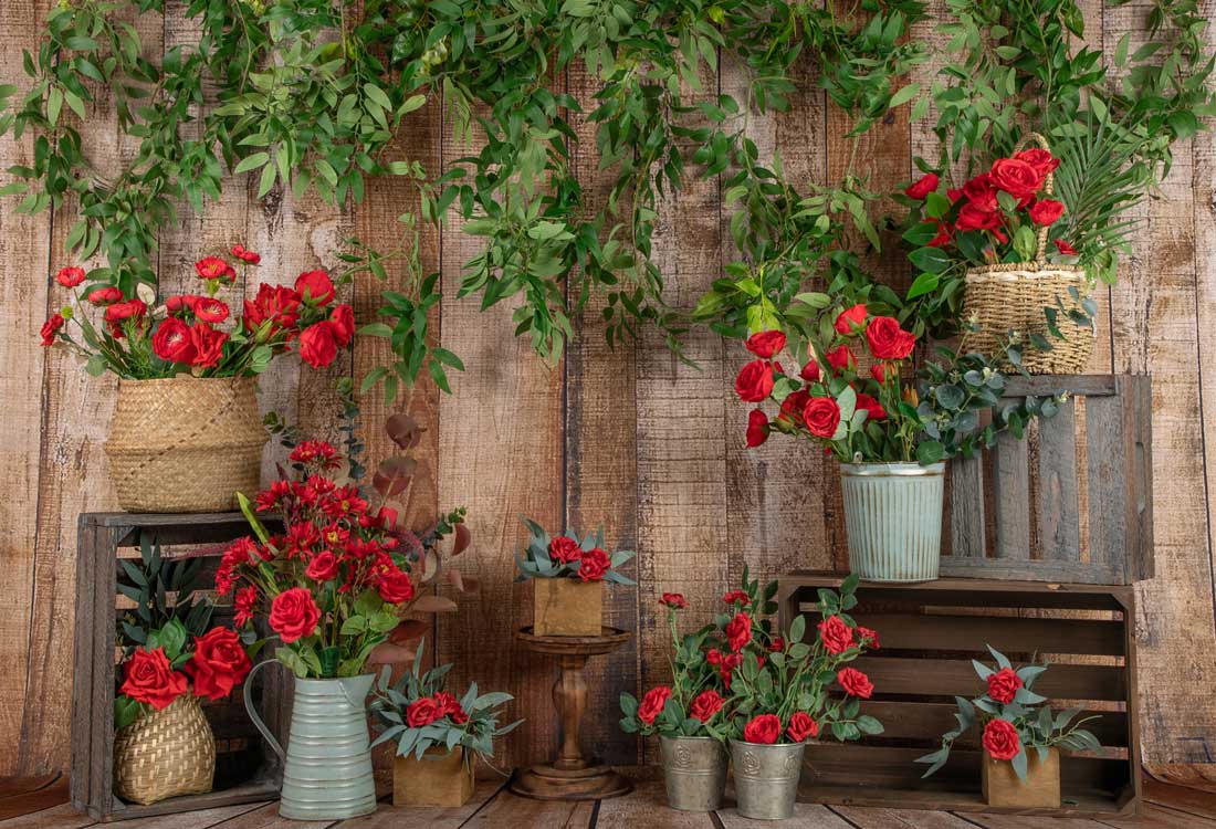 Kate Frühling Roter Blumen  Holzhintergrund Entworfen von Jia Chan Photography