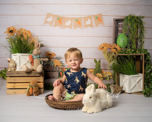 Kate Ostern Frühling Karotte  Kaninchen Ostereier Blumen Hintergrund für Fotografie - Kate Backdrop.de