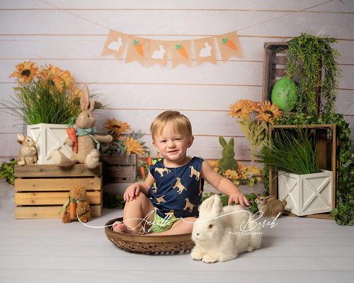 Kate Ostern Frühling Karotte  Kaninchen Ostereier Blumen Hintergrund für Fotografie