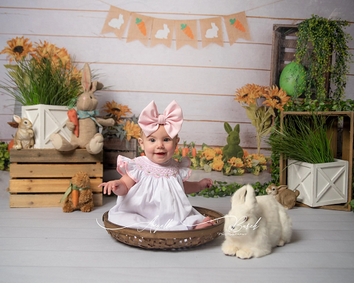 Kate Ostern Frühling Karotte  Kaninchen Ostereier Blumen Hintergrund für Fotografie - Kate Backdrop.de