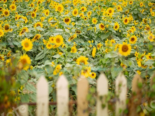 Kate Garten Sonnenblume Muttertag Sommer Hintergrund für Fotografie entworfen von Jia Chan Photography