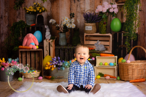 Kate Ostern Karotte Kaninchen Ostereier bunte Blume Hintergrund für Fotografie - Kate Backdrop.de