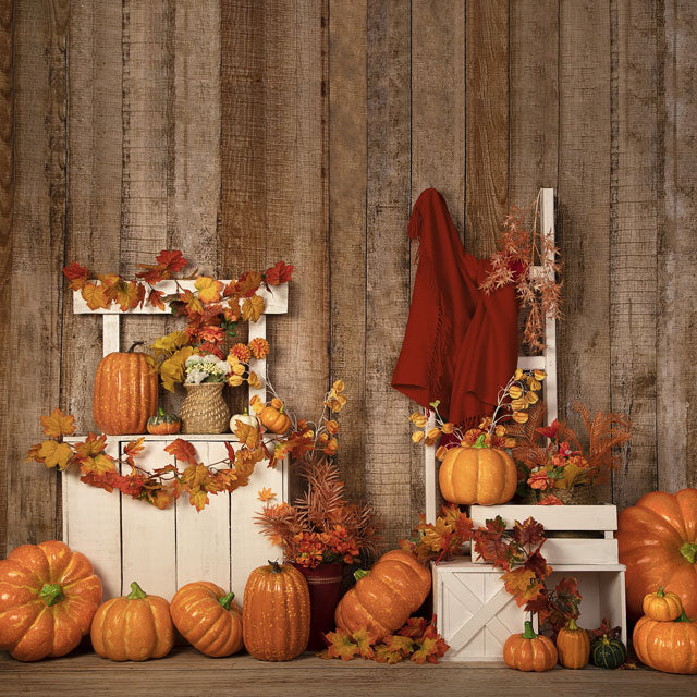 Kate Herbst / Thanksgiving Kürbisse stehen Halloween Hintergrund Entworfen von Jia Chan Photography