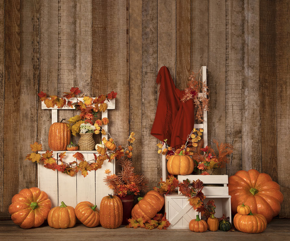 Kate Herbst / Thanksgiving Kürbisse stehen Halloween Hintergrund Entworfen von Jia Chan Photography