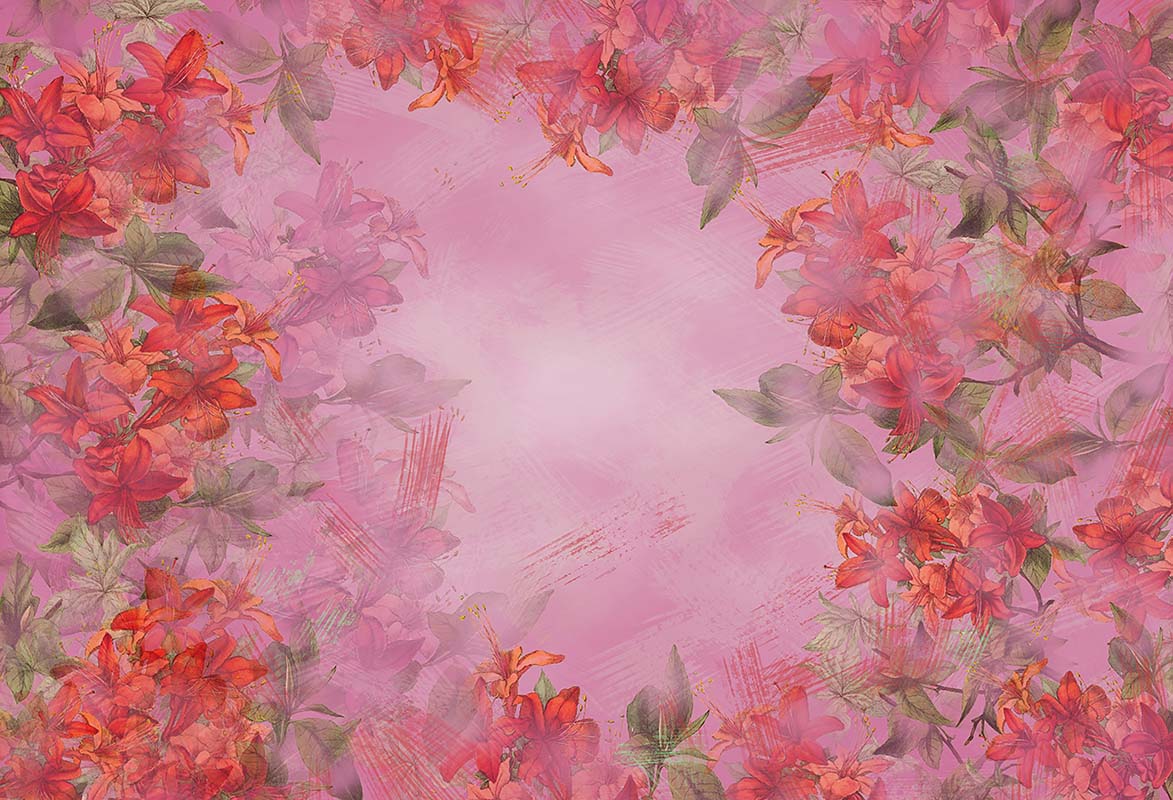 Kate Fine Art Blumen rosa Hintergrund Entworfen von GQ