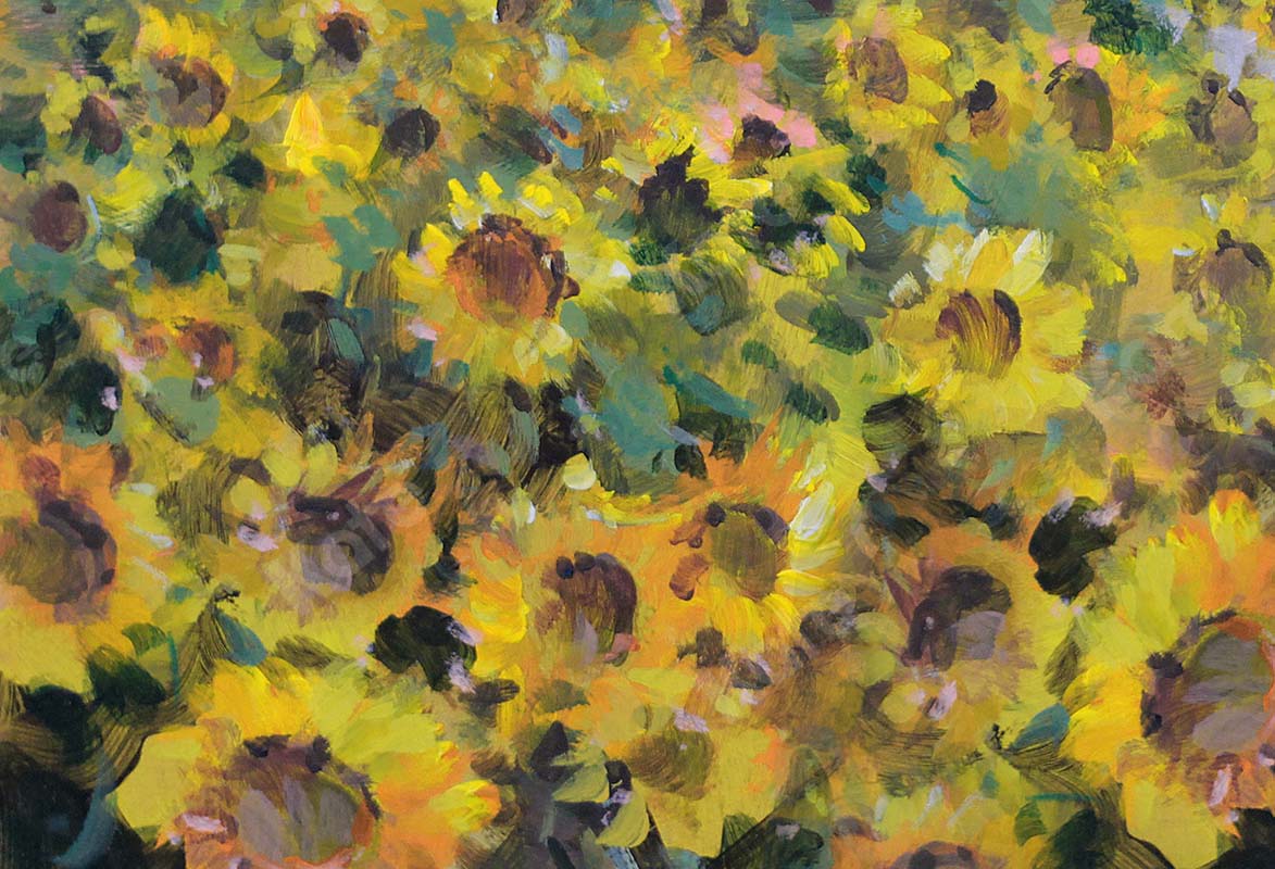 Kate Fine Art Blumen Sonnenblumen Feld Hintergrund  von GQ