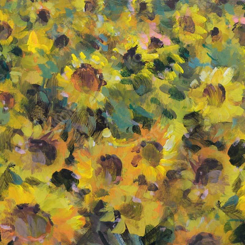 Kate Fine Art Blumen Sonnenblumen Feld Hintergrund  von GQ