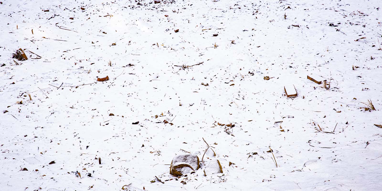 Kate Winter Schneefeld Hintergrund  von Emetselch