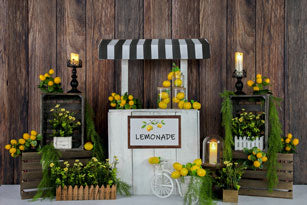 Kate Sommer Lemon Stand Backdrop Entworfen von Jia Chan Photography - Kate Backdrop.de