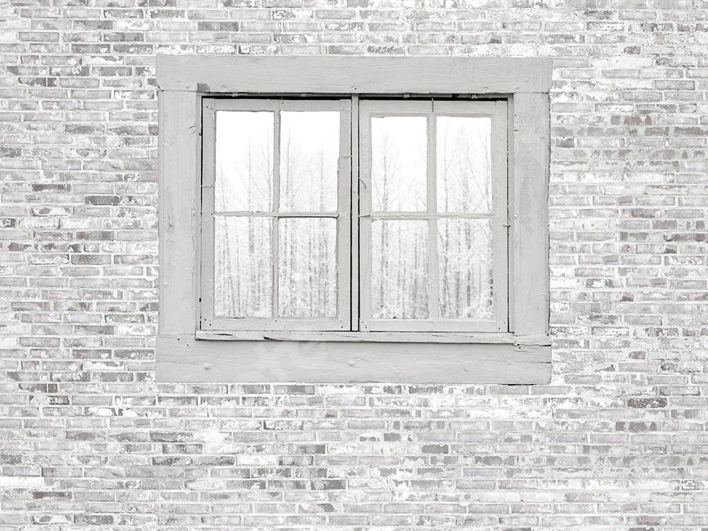 Kate Backstein Hintergrund mit weißem Fenster von Chain Photography
