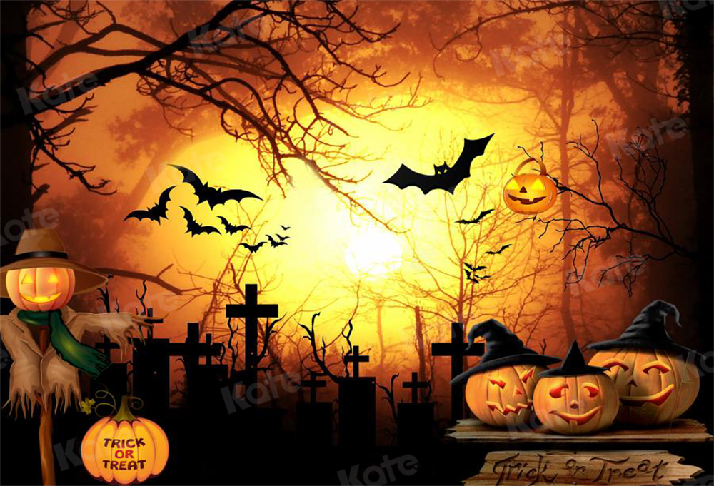 Kate Halloween Fledermäuse Kürbis Hintergrund von Chain Photography