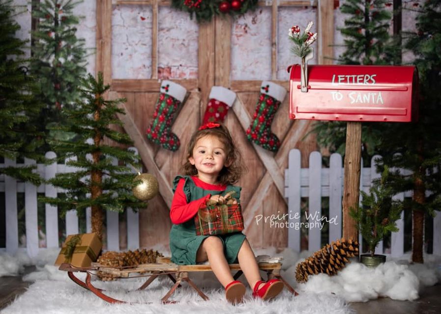 Kate Weihnachten Winter Schnee Zaun Tür Hintergrund von Emetselch - Kate Backdrop.de