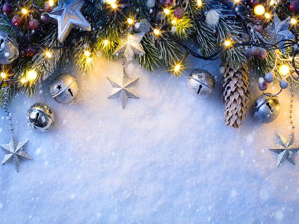 Katebackdrop：Kate Christmas Backdrop with Pine branches Snow Winter