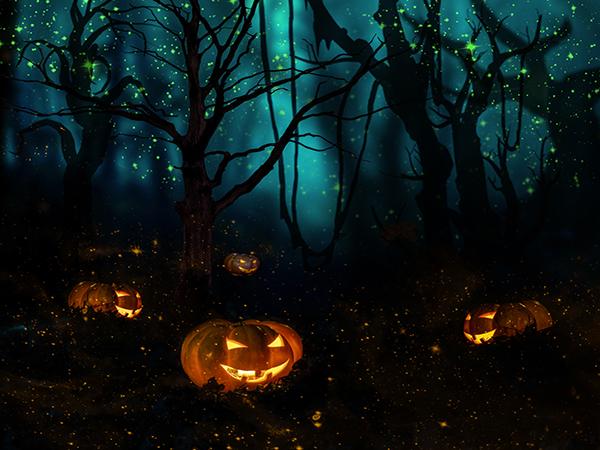 Katebackdrop：Kate Halloween Night Sparkle Scene Pumpkins Forest Background