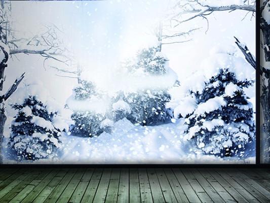 Katebackdrop：Kate Snow Cotton Winter Tree Gray Wall Wood Floor For Photography Studio