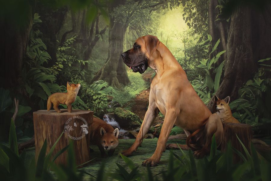 Kate Wald mit grünen Bäumen und Bach Frühling zum Fotografieren - Kate Backdrop.de