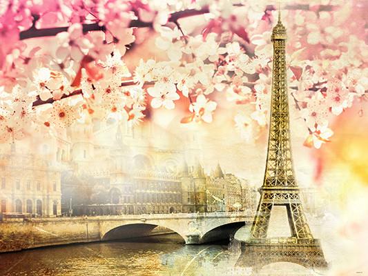 Katebackdrop Kate Pink Floral Scenery Paris Tower River Building Backdrops