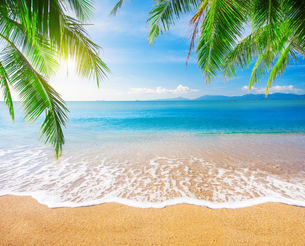 Katebackdrop：Kate Golden Beach Blue Sky and Sea in Sunshine Backdrop for Photography