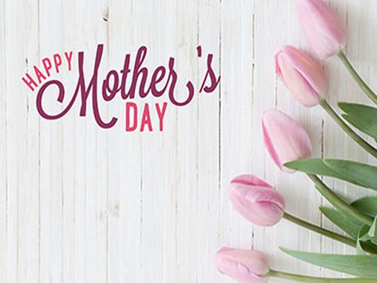 Katebackdrop Kate White Wooden Background Pink Tulip Floral Mother's Day Holiday Backdrop