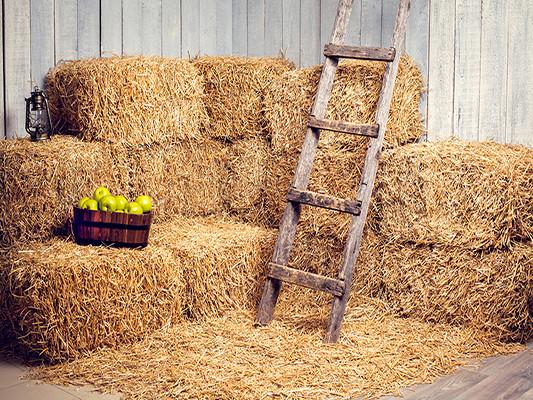 Katebackdrop：Kate Farmhouse Haystack Ladder Fruit Nature Children Backrops