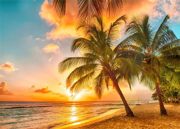 Kate Sommerferien-Kokosnussbäume mit Sonnenuntergang-Hintergrund