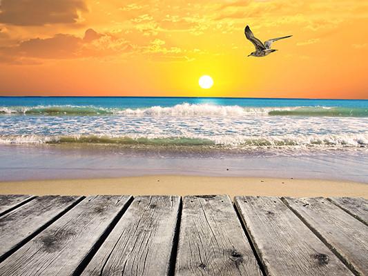 Katebackdrop：Kate Sunset Sea Beach Seagulls With Wooden Floor