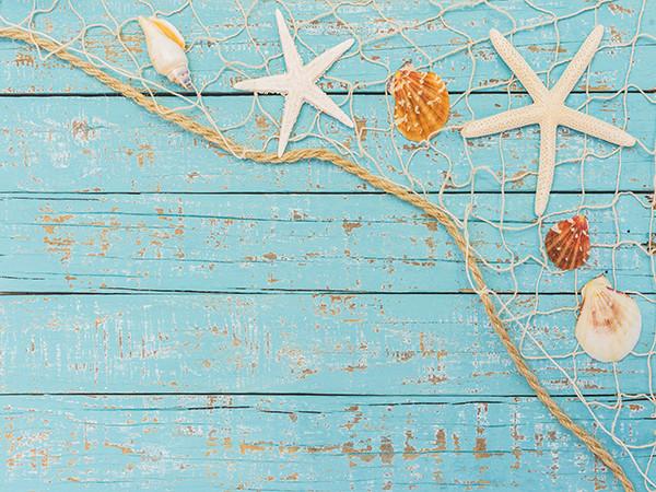 Katebackdrop£ºKate Summer Photography Backdrops Starfish Shell Wooden Wall Backdrop