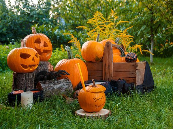 Katebackdrop：Kate Halloween Photography Backdrops Grassland Pumpkin Stakes Backgound