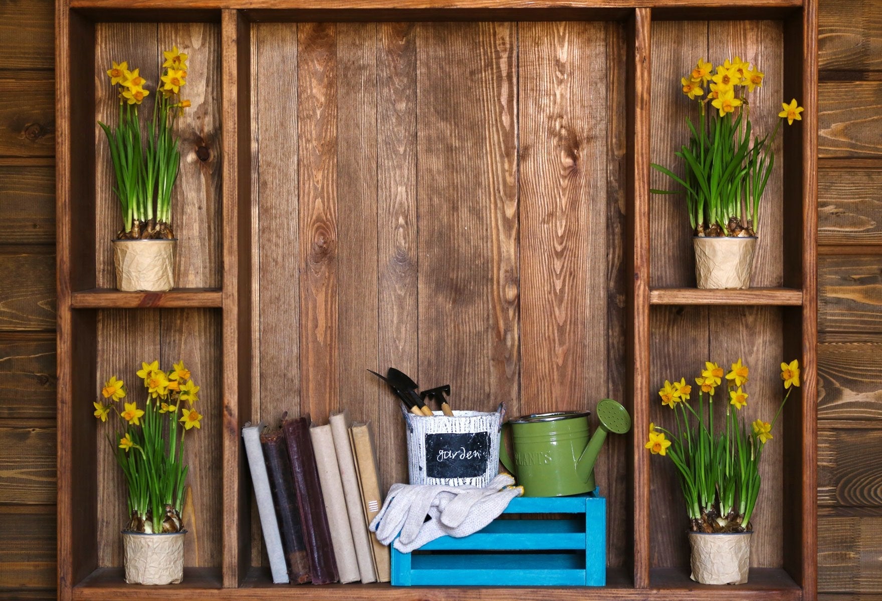 Katebackdrop：Kate Spring Dark Wood Easter Garden Backdrop