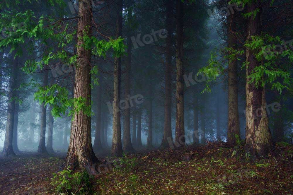 Kate Grüner magischer Wald Ostern Frühling Hintergrund photographie