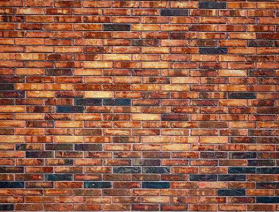 Kate Brown Black-Backsteinmauer-Fotografiehintergrund