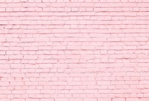 Kate Rosa Backsteinmauer  Mauer Fotografie Ziegel Hintergründe - Kate Backdrop.de