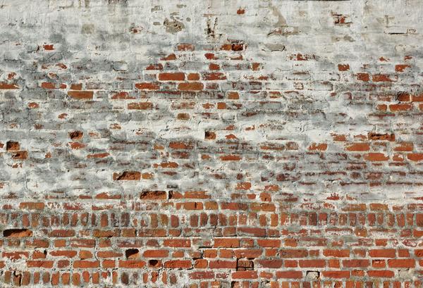 Kate Weinlese-konkrete Backsteinmauer für Fotografie