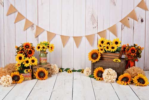 Kate Holz Sonnenblume Geburtstag Ostern Hintergrund Fotografie